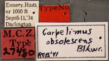 Media type: image;   Entomology 27480 Aspect: labels